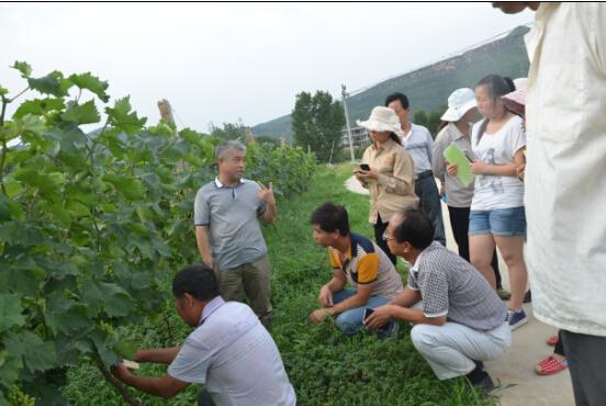 社市委到登封開展技術(shù)服務(wù)活動