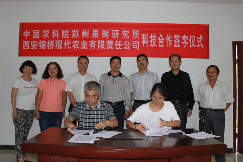 九三學(xué)社鄭西科技合作項(xiàng)目簽約